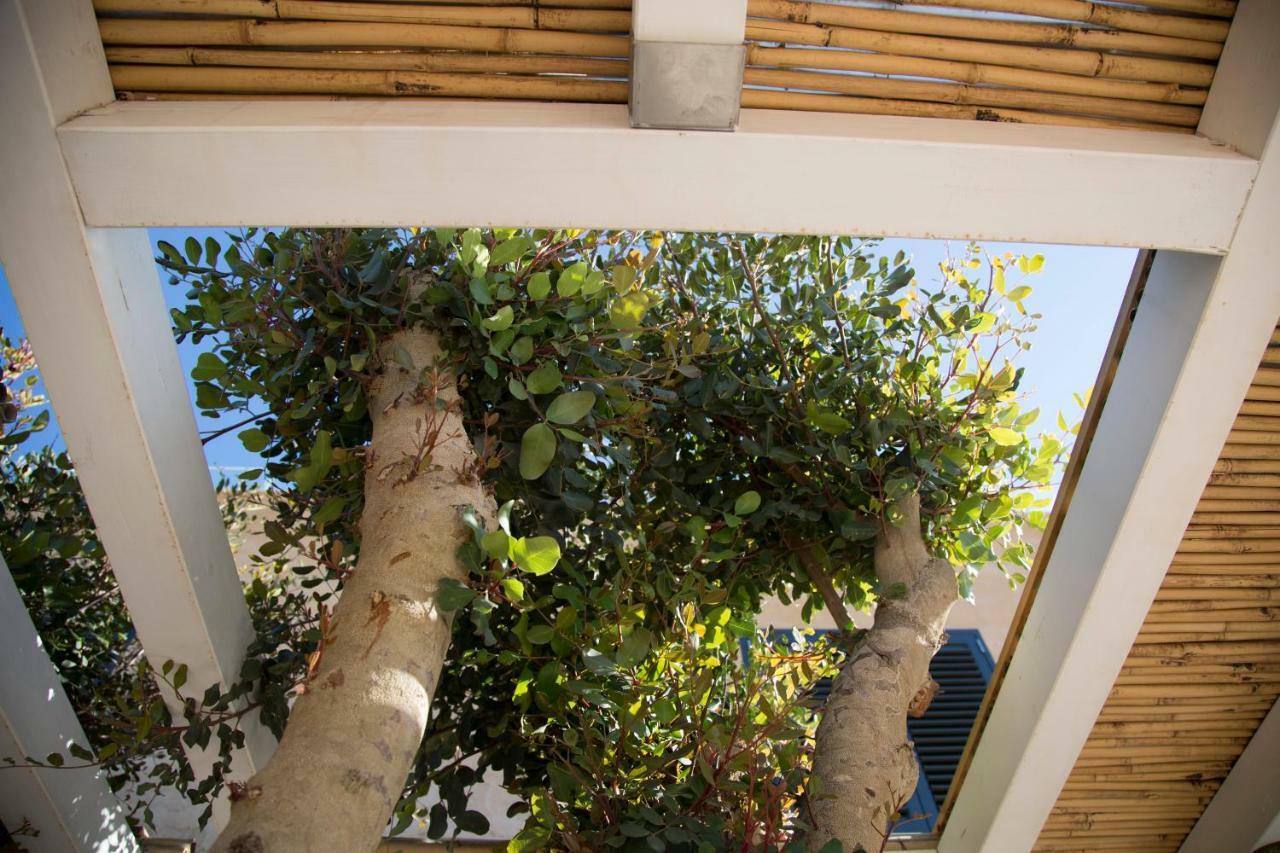 Le Suites Del Carrubo Favignana Dış mekan fotoğraf
